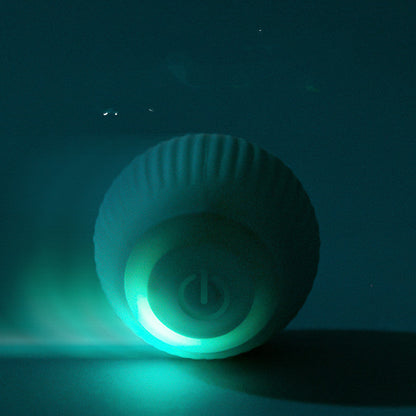 USB Rechargeable Gravity Electric Rolling Ball Electric Cat Toy