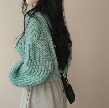 Women's Fashion Knitwear Sweater Short Coat