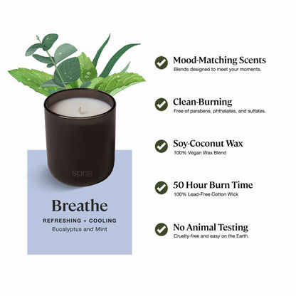 Sprig by Kohler Breathe Aromatherapy Candle with Eucalyptus and Mint -8 oz