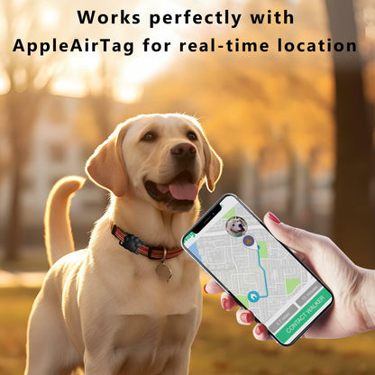 FancyMouse Dog Collar Holder Blue Protective Track Tech dwj-blue