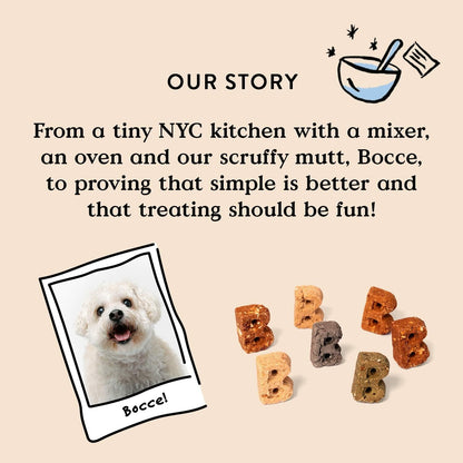 BestBy01/25 Bocce's Bakery Good Hair Dog Treats Salmon 6oz Soft Chewy Wheat-Free