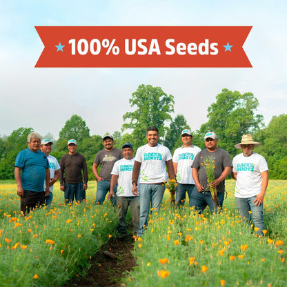 Winter Waltham Butternut Squash Seed Packet 2.8g Heirloom Planting