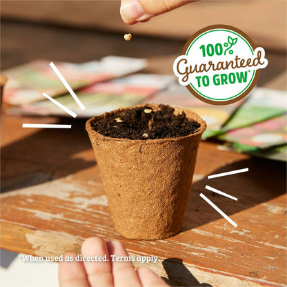 Winter Waltham Butternut Squash Seed Packet 2.8g Heirloom Planting