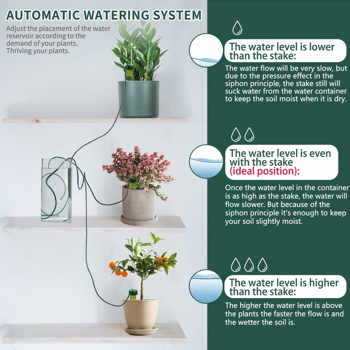 BYDOLL Plant Self-Watering Stakes Automatic Drip Irrigation System 10 Pack