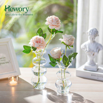 Hewory Glass Bubble Bud Vase Small Clear Glass Flower Vase for Single Stem