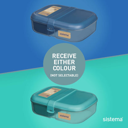 Sistema PDQ Ribbon Lunch To Go 1.1L Container BPA Free