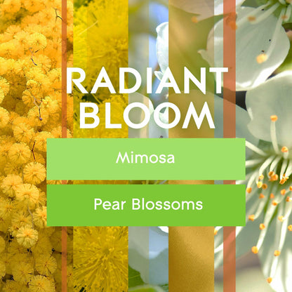 Glade PlugIns Refills Radiant Bloom Air Freshener 0.67oz 2 Count