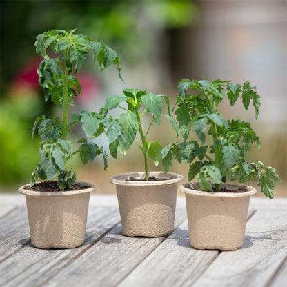 Back to the Roots Organic Plantable Seed Starting Pots 4.25" Wide Brown 8 Ct