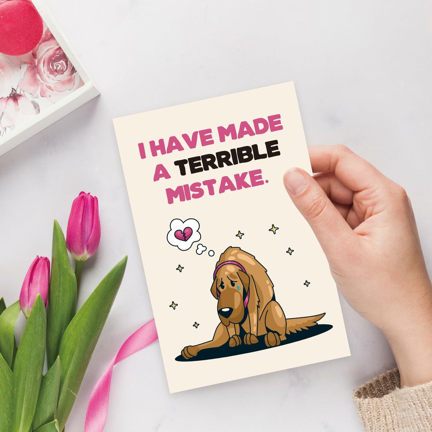 Detuca I'm Sorry Greeting Card Funny Apology Card for Her Him