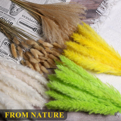 CeiooCei Colorful Pampas Grass Decor 17" White Yellow Light Green Dried