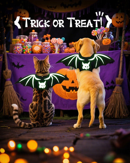 Velthorix Cat Halloween Costume Bat Wings Pet Cosplay Accessories Small