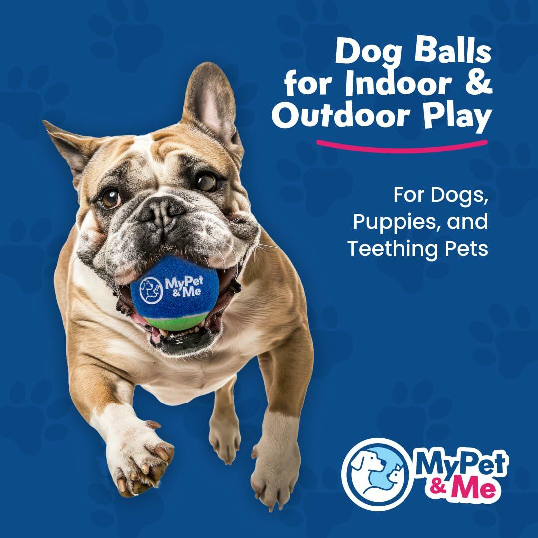 My Pet & Me Dog Tennis Balls 2.5-Inch Soft Lightweight Indoor Outdoor 4 Pack