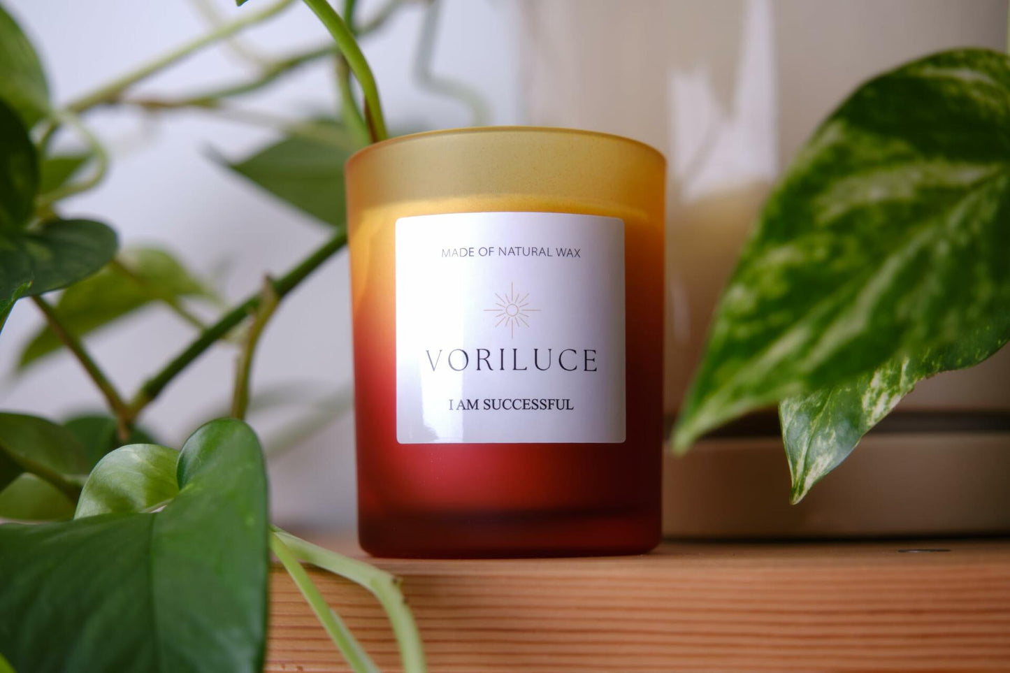 Voriluce Intention Scented Soy Candle 5.3oz Rose Patchouli 32hr Burn