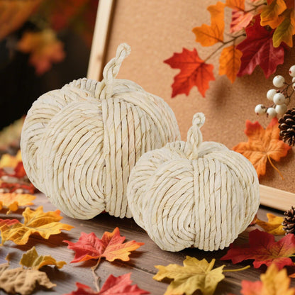 winemana 2 Pack Woven Pumpkin Decor Fall Thanksgiving White Assorted Size