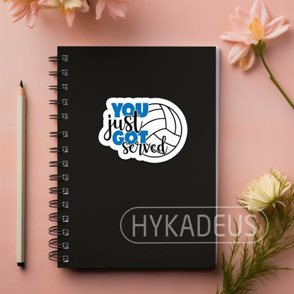 HYKADEUS You Just Got Served Volleyball Sticker 3x2.2in 3Pcs Waterproof Vinyl