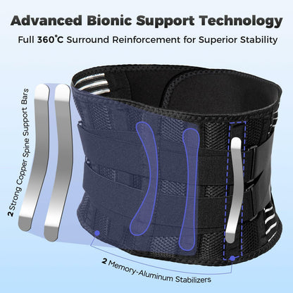 Ebullient Assimilate Adjustable Lumbar Back Brace Black/Silver Size S
