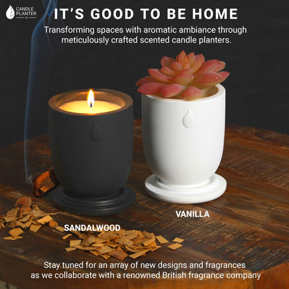 Matani Concrete Cement Candle Planter Aromatherapy Soy Black Sandalwood 3.1x4in