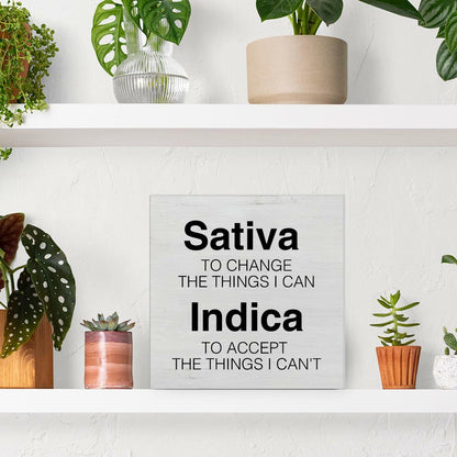 GTGIC Office Desk Sign Motivational Funny Wood Decor Multicolor 5x5 Inches