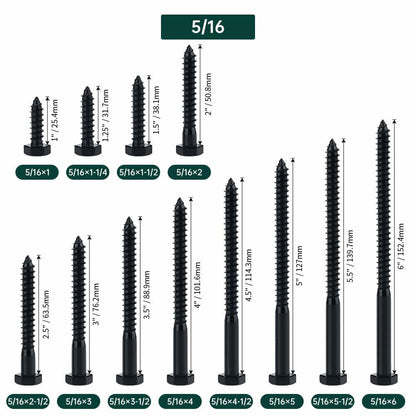 Fayeploo 5/16x2 Black Hex Head Lag Screws 304 Stainless Steel 10 pcs