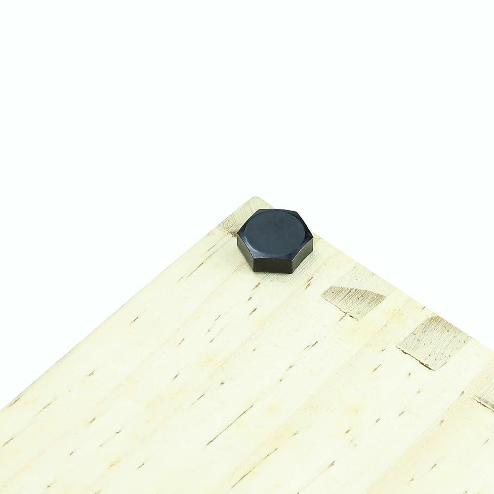 Fayeploo 5/16x2 Black Hex Head Lag Screws 304 Stainless Steel 10 pcs