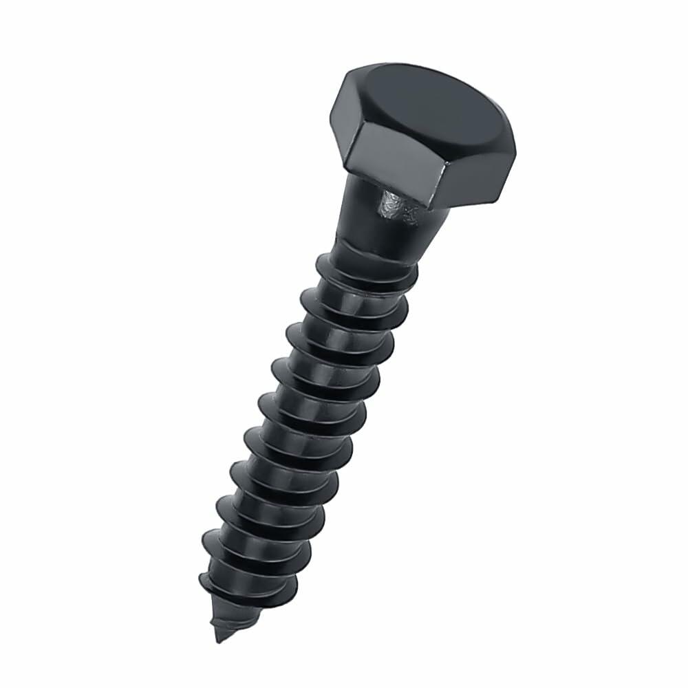 Fayeploo 5/16x2 Black Hex Head Lag Screws 304 Stainless Steel 10 pcs
