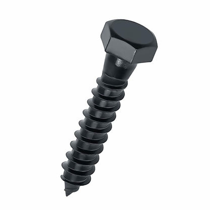 Fayeploo 5/16x2 Black Hex Head Lag Screws 304 Stainless Steel 10 pcs