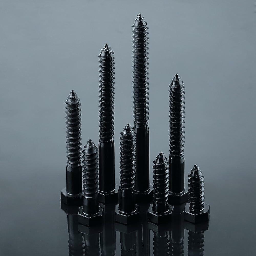 Fayeploo 5/16x2 Black Hex Head Lag Screws 304 Stainless Steel 10 pcs
