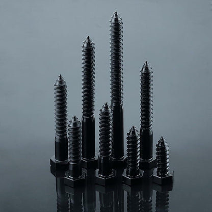 Fayeploo 5/16x2 Black Hex Head Lag Screws 304 Stainless Steel 10 pcs