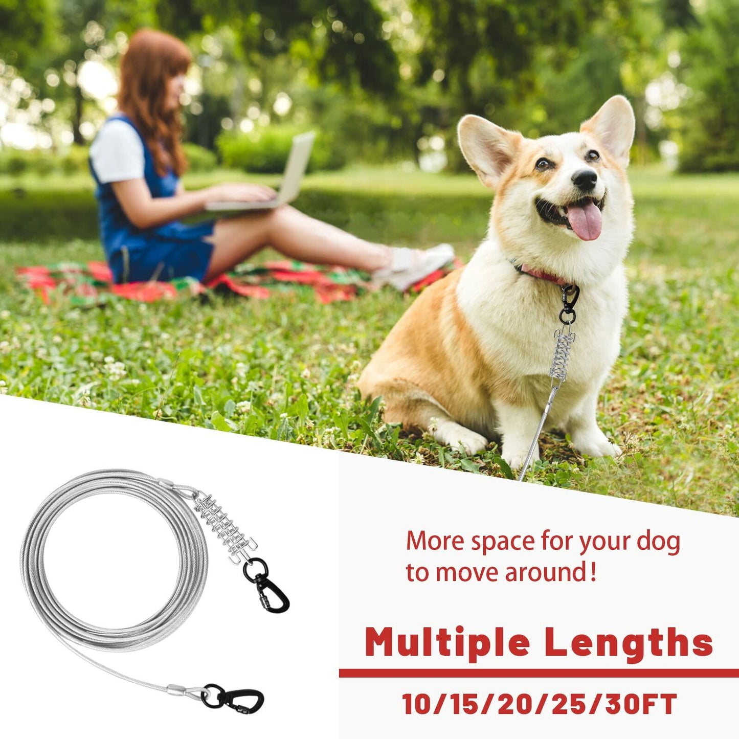 HaiYUAN Dog Tie Out Cable Steel Wire with Clips Blue 10-30 FT Heavy Duty