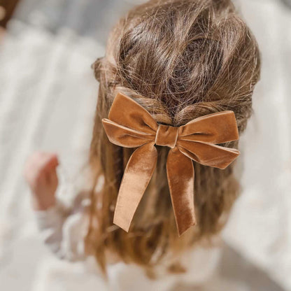 Aileam 2PCS Brown Velvet Hair Bows Large Fall Alligator Clips