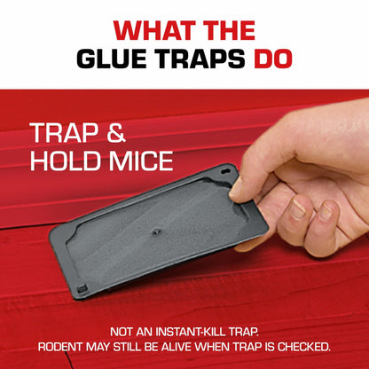 Tomcat Glue Traps Mouse Size with Eugenol for Enhanced Stickiness, 6 Count Black