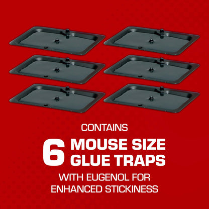 Tomcat Glue Traps Mouse Size with Eugenol for Enhanced Stickiness, 6 Count Black