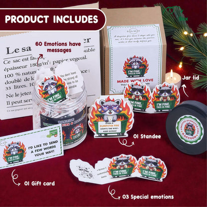 SOLMAY Funny Raccoon Dumpster Fire Affirmation Jar 60 Sarcastic Notes (OPEN BOX)