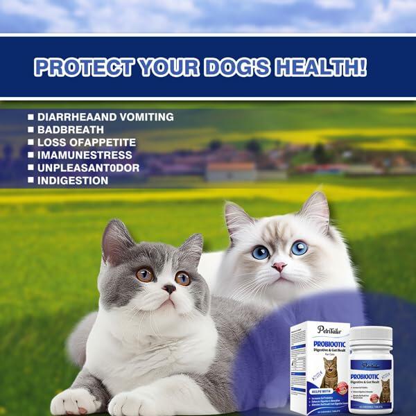 PetriTailor Probiotics for Cats Digestive Enzymes Prebiotics Gut Immune Support