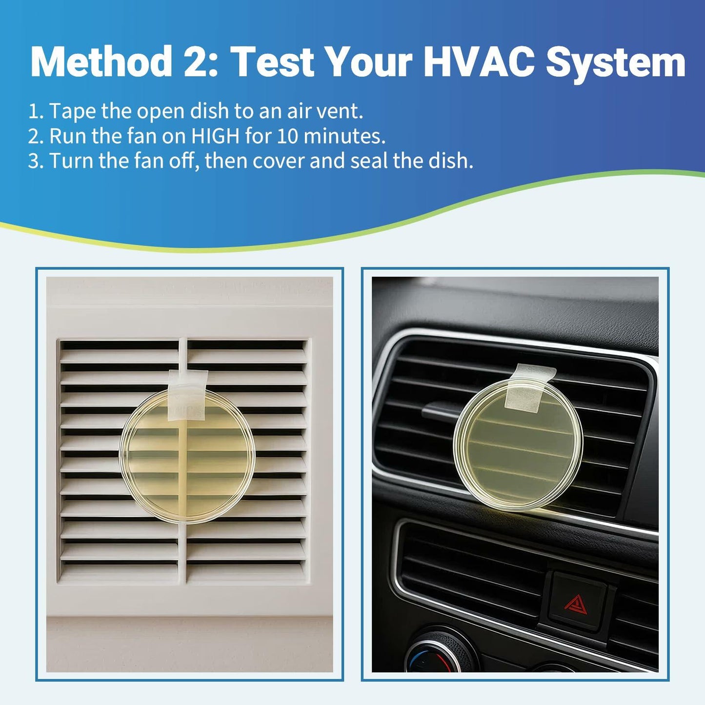 Mosynex Mold Test Kit 6 Detection Tests DIY Black Mold Detector Indoor Air