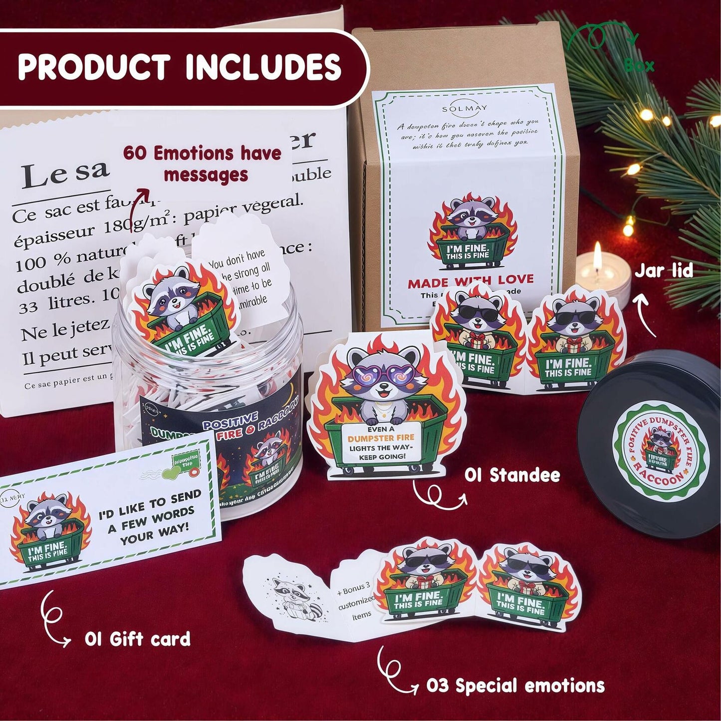 SOLMAY Funny Raccoon Dumpster Fire Affirmation Jar, 60 Sarcastic Notes