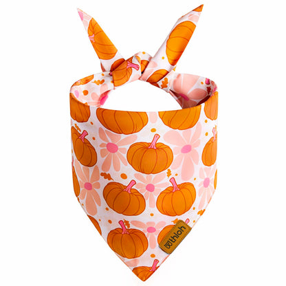 THLOH Fall Dog Bandanas 2 Pack Reversible Pumpkin Leaf Orange Large