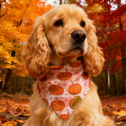 THLOH Fall Dog Bandanas 2 Pack Reversible Pumpkin Leaf Orange Large