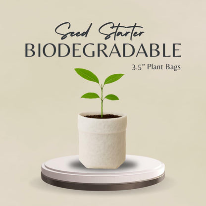 Eden Reclaimed 15-Pack Biodegradable 3.5" Plant Grow Bags with Labels