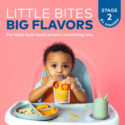Plum Organics Stage 2 Baby Food Peach Banana Apricot 4oz Pouch Pack of 6