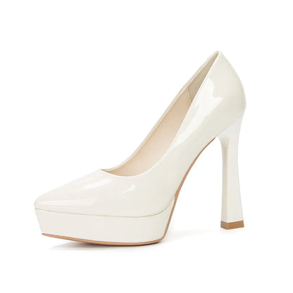 Point Toe High Heel Pumps