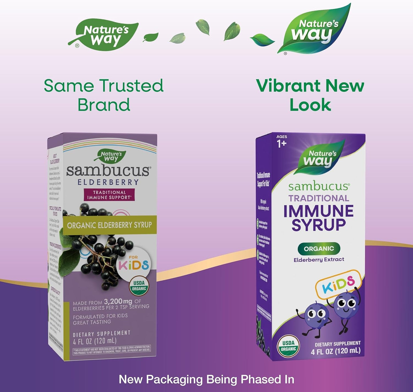 Nature's Way Sambucus Kids Organic Elderberry Syrup Berry Flavor 4 Fl Oz
