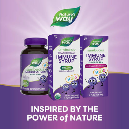 Nature's Way Sambucus Kids Organic Elderberry Syrup Berry Flavor 4 Fl Oz